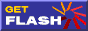 Get FlashPlayer Button